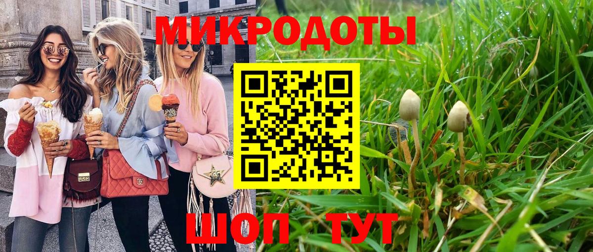 Галлюциногенные грибы Psilocybe  Галлюциногенные грибы прущие грибы  Вход с VPN  Борзя 